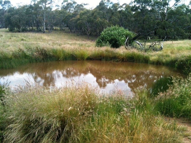 Lots 1, 2, 142, 147 Quidong Road, Bombala NSW 2632