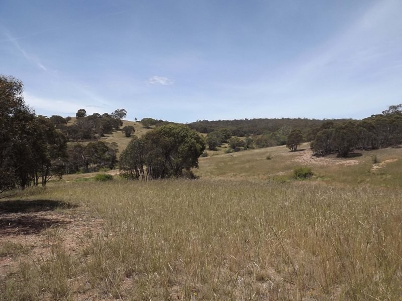 Lots 1, 2, 142, 147 Quidong Road, Bombala NSW 2632