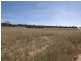 Lots 1, 2, 142, 147 Quidong Road, Bombala NSW 2632