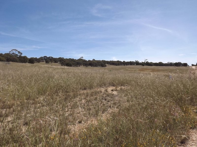 Lots 1, 2, 142, 147 Quidong Road, Bombala NSW 2632