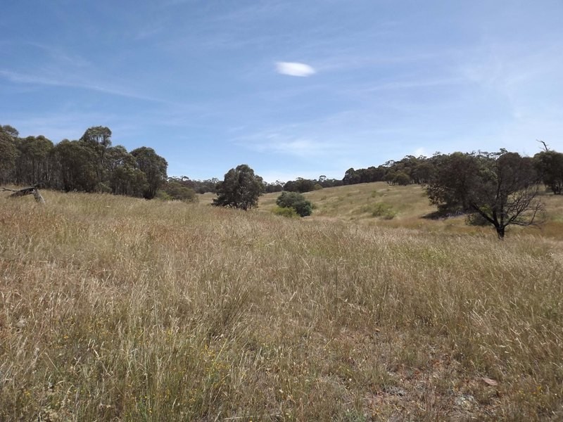 Lots 1, 2, 142, 147 Quidong Road, Bombala NSW 2632