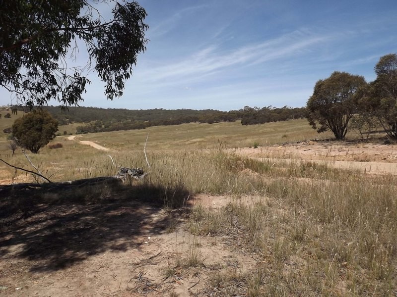 Lots 1, 2, 142, 147 Quidong Road, Bombala NSW 2632