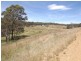 Lots 1, 2, 142, 147 Quidong Road, Bombala NSW 2632