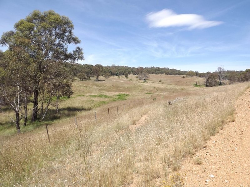 Lots 1, 2, 142, 147 Quidong Road, Bombala NSW 2632