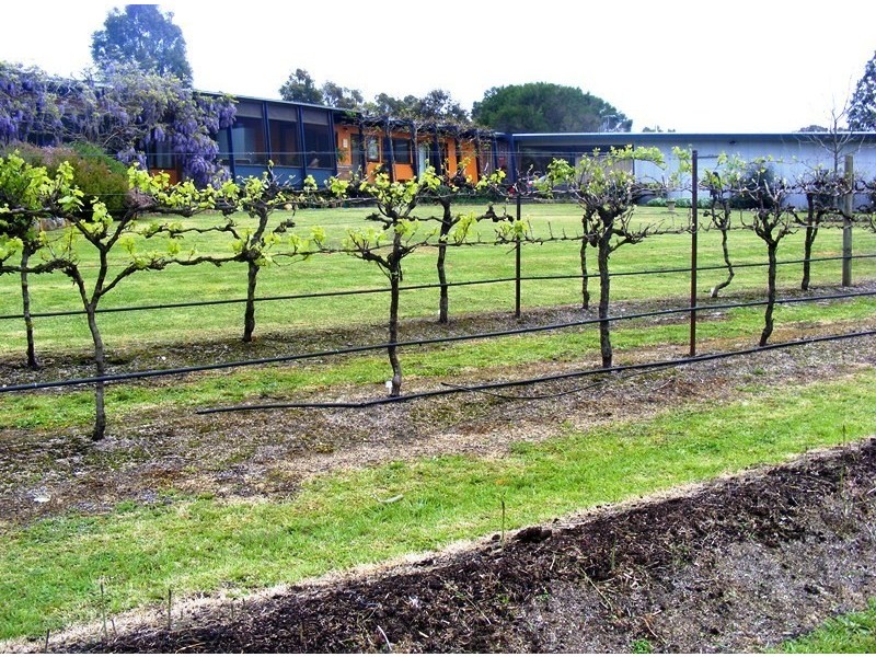 461 Wyndham Lane, Bega NSW 2550