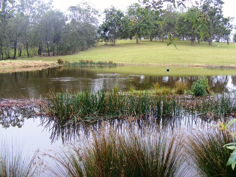 461 Wyndham Lane, Bega NSW 2550