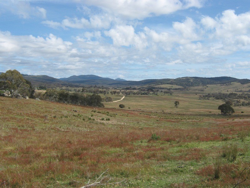 105 Bobeyan Road, Shannons Flat NSW 2630