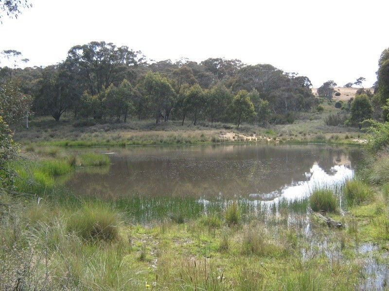 105 Bobeyan Road, Shannons Flat NSW 2630