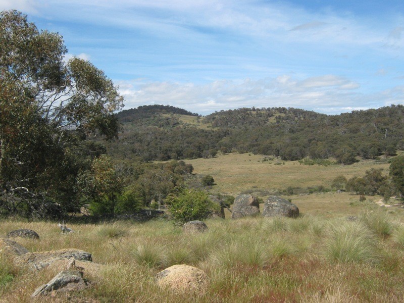 105 Bobeyan Road, Shannons Flat NSW 2630