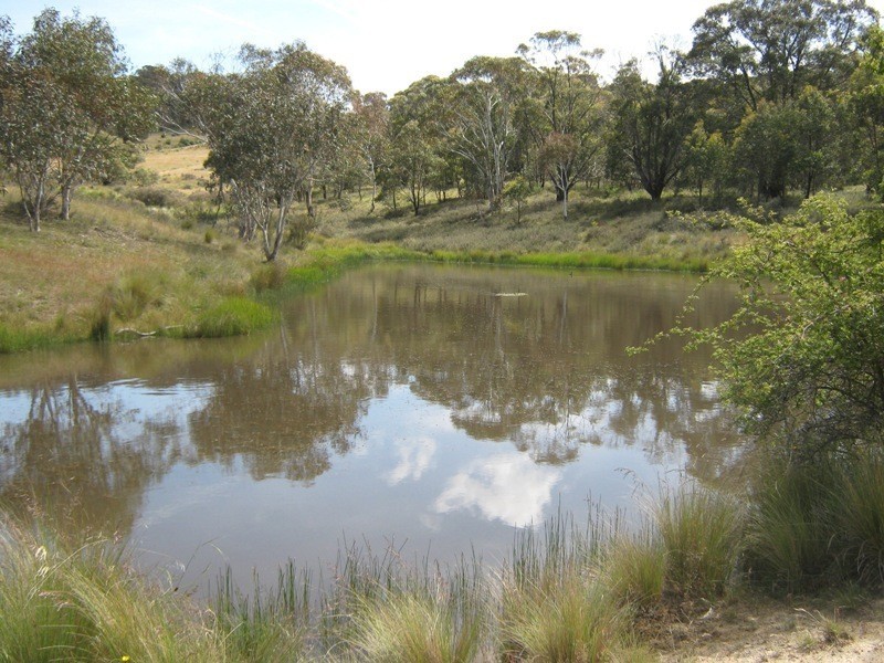 105 Bobeyan Road, Shannons Flat NSW 2630