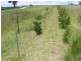 Lot 23 Max Slater Drive, Bega NSW 2550