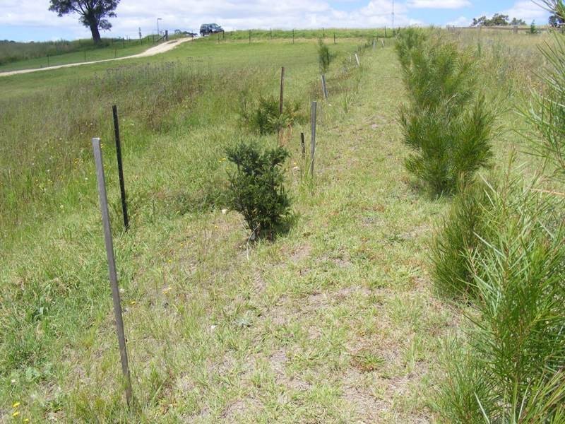 Lot 23 Max Slater Drive, Bega NSW 2550