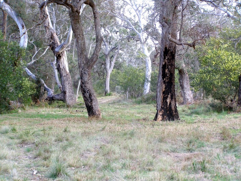 140 West Kameruka Road, Candelo NSW 2550