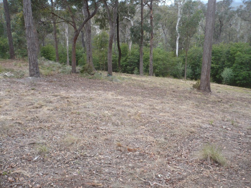 353 Oaklands Rd, Pambula NSW 2549