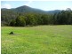1376 Tantawangalo Mountain Road, Candelo NSW 2550