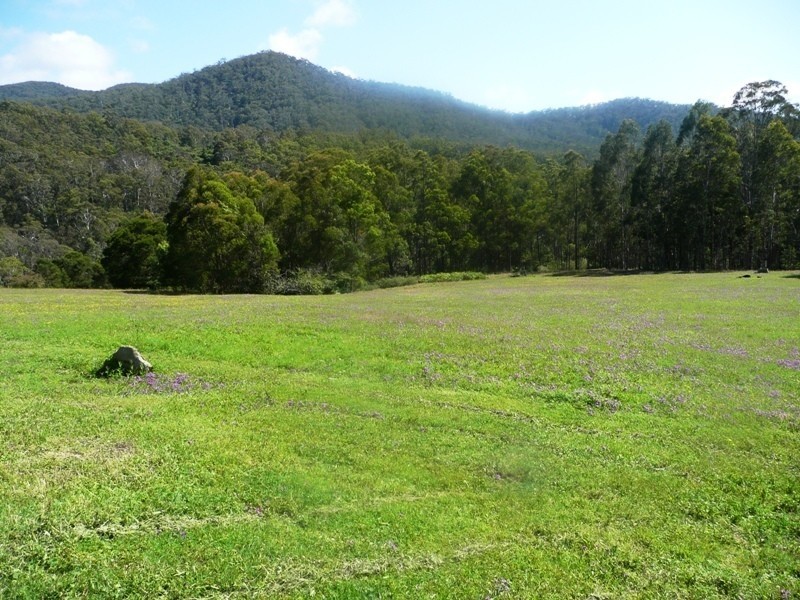 1376 Tantawangalo Mountain Road, Candelo NSW 2550