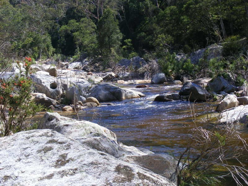 1376 Tantawangalo Mountain Road, Candelo NSW 2550