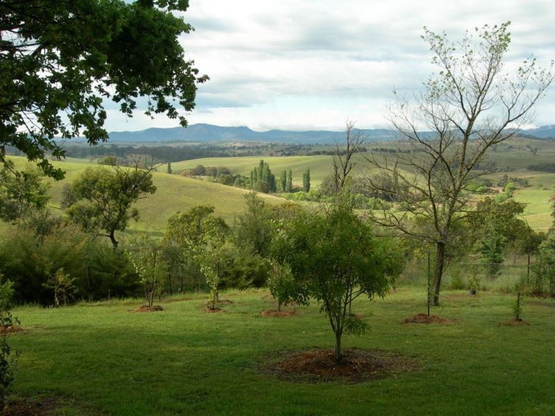 424 West Kameruka Road, Candelo NSW 2550