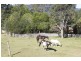 610 Warrigal Range Road, Brogo NSW 2550
