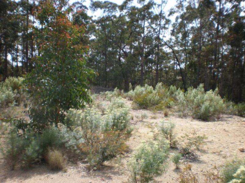 Lot 23 Kiaka Road, Nethercote NSW 2549