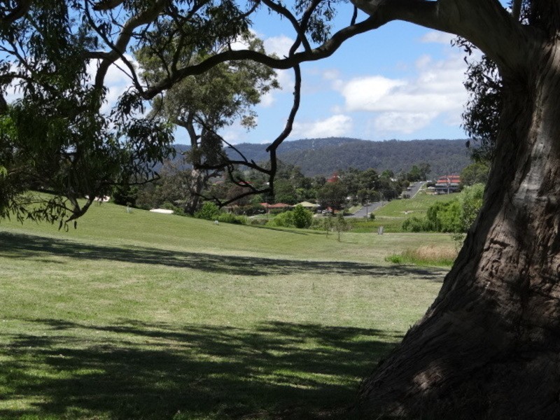 20-24 Willow Court, Bega NSW 2550