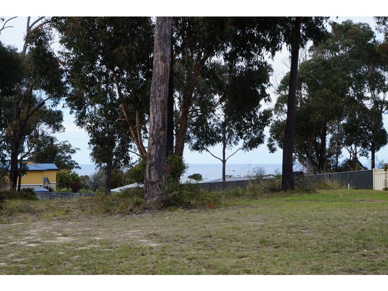 36 The Dress Circle, Tura Beach NSW 2548