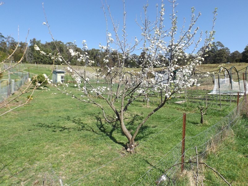 1621 Nethercote Road, Greigs Flat NSW 2549