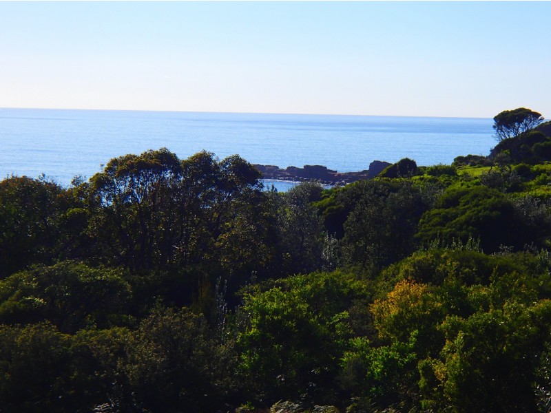 8 Dolphin Cove Drive, Tura Beach NSW 2548