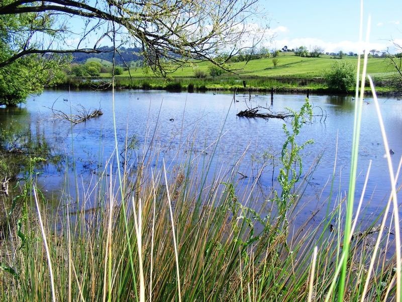 85 Parrabel Street, Bega NSW 2550