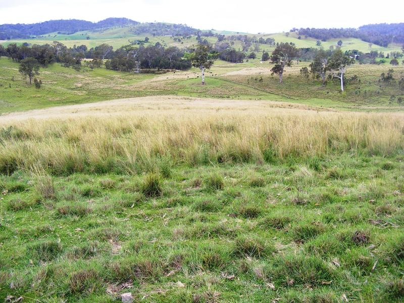 0 Tantawangalo Lane, Tantawangalo NSW 2550