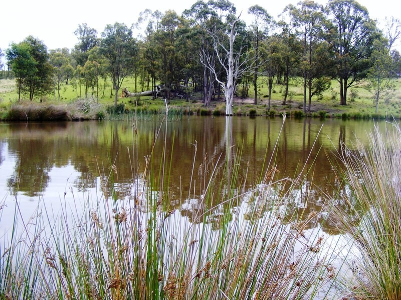 0 Tantawangalo Lane, Tantawangalo NSW 2550