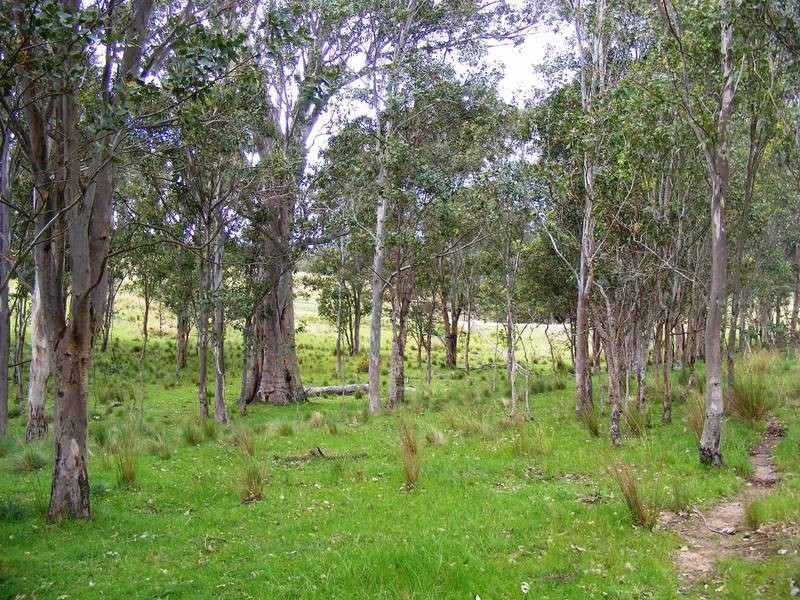 0 Tantawangalo Lane, Tantawangalo NSW 2550