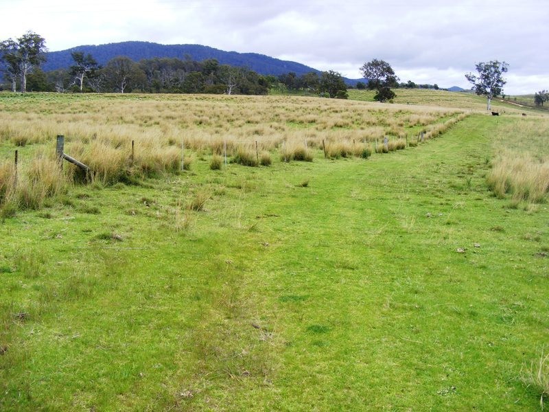 0 Tantawangalo Lane, Tantawangalo NSW 2550