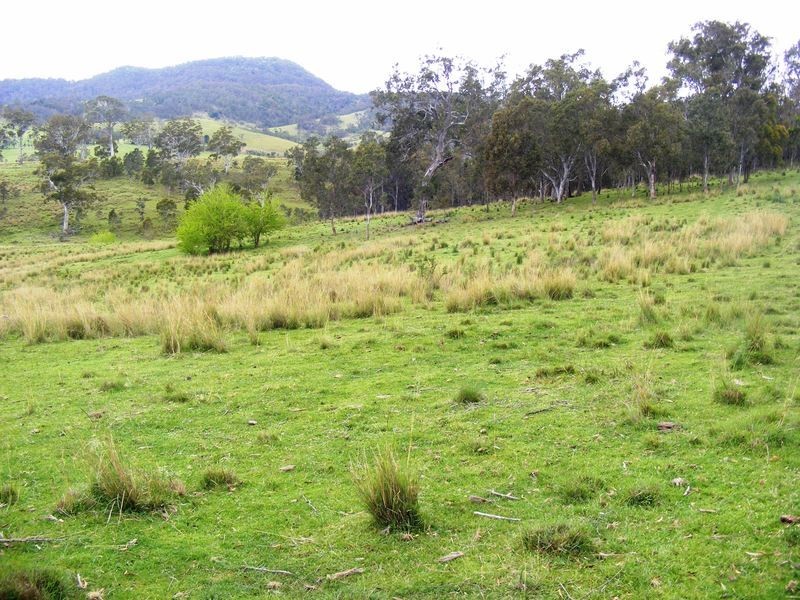 0 Tantawangalo Lane, Tantawangalo NSW 2550