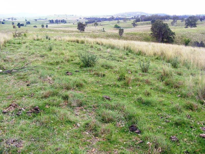 0 Tantawangalo Lane, Tantawangalo NSW 2550