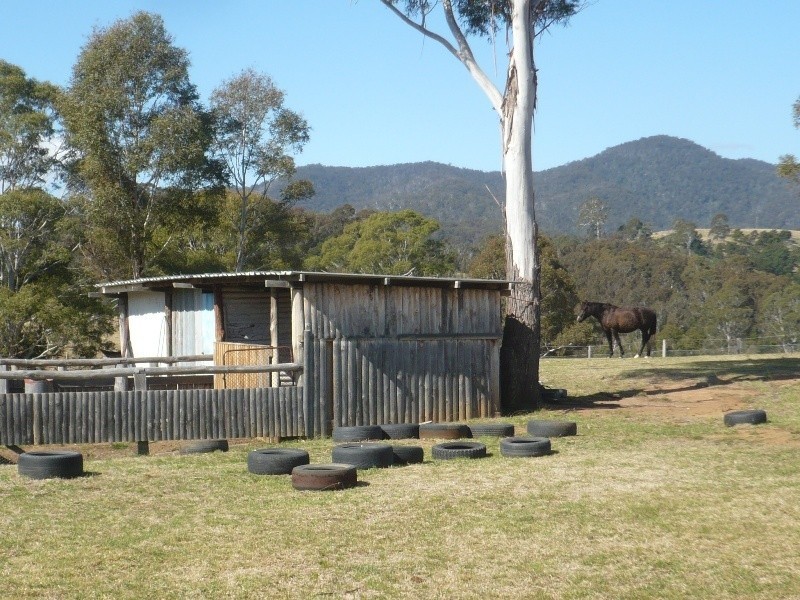 441 New Buildings Road, Wyndham NSW 2550