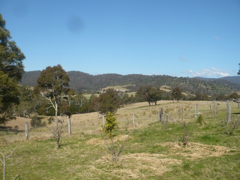 441 New Buildings Road, Wyndham NSW 2550