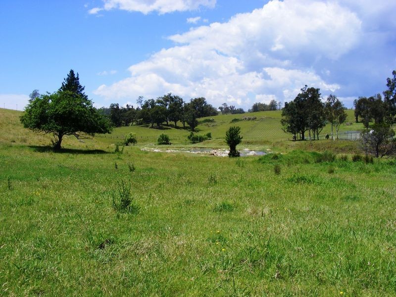 16 Nimmitabel Street, Bemboka NSW 2550