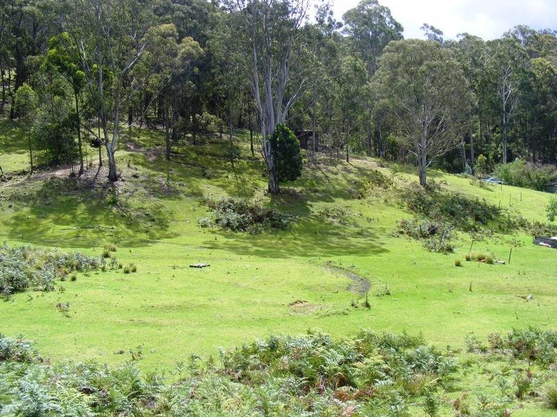1337 Tantawangalo Mountain Road, Candelo NSW 2550