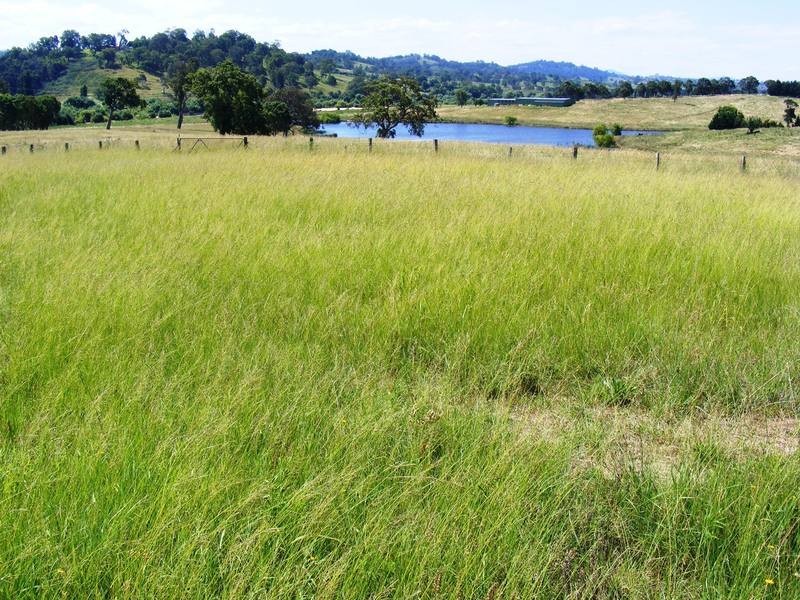 Lot 29 Max Slater Drive, Bega NSW 2550