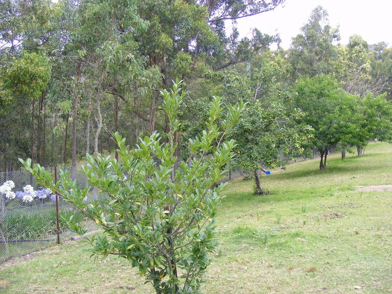 113 Brittens Rd, Tantawangalo NSW 2550