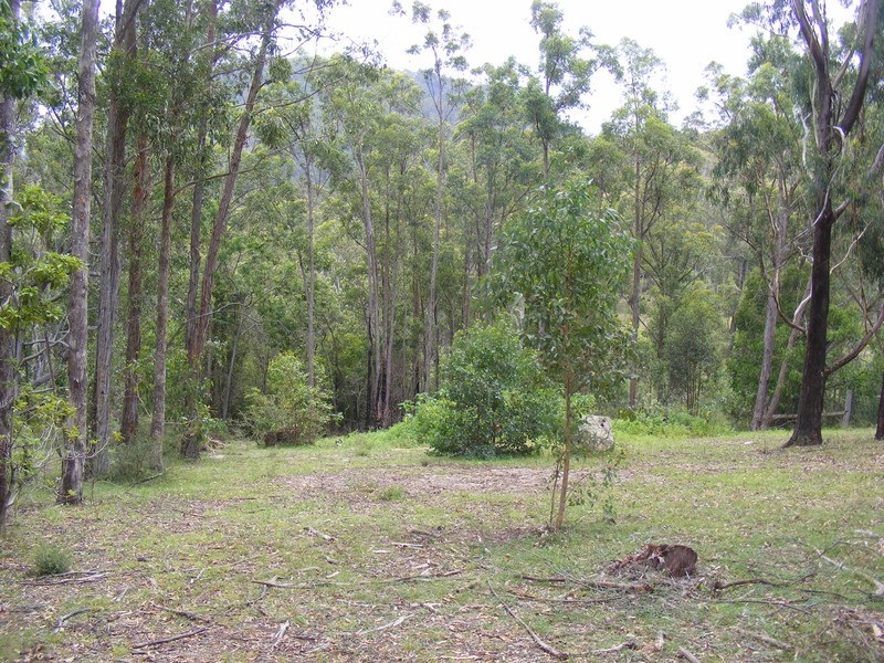 113 Brittens Rd, Tantawangalo NSW 2550