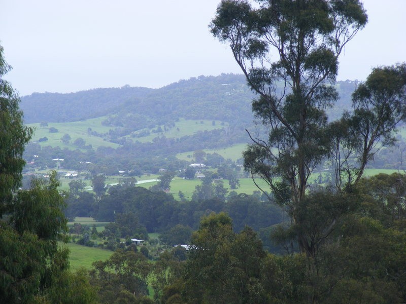 237  Reedy Swamp Road, Tarraganda NSW 2550