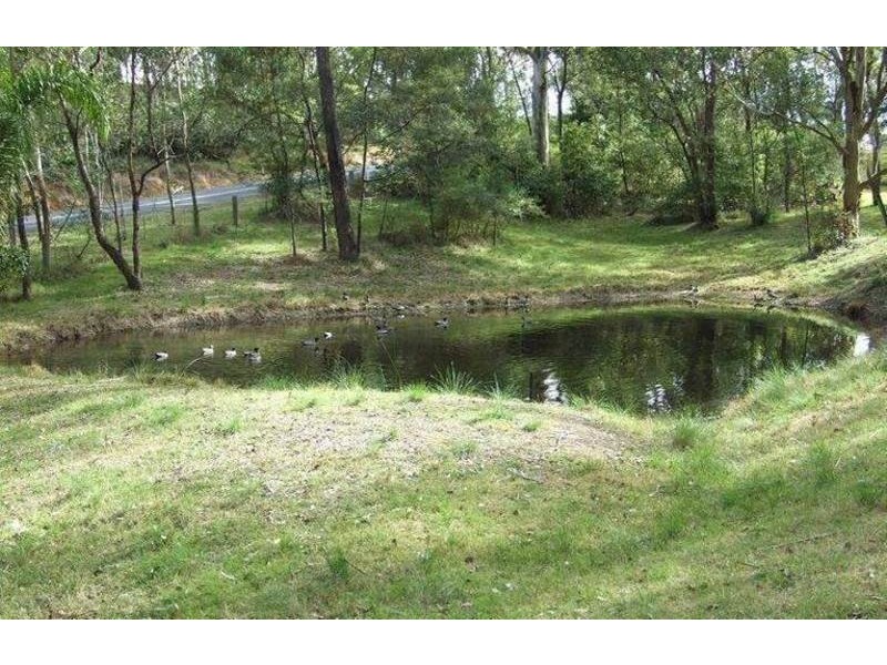 237  Reedy Swamp Road, Tarraganda NSW 2550