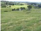 42 Black Range Road, Black Range NSW 2550