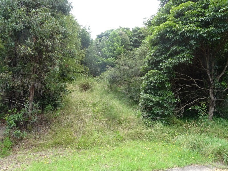 19 Bellbird Crescent, Merimbula NSW 2548