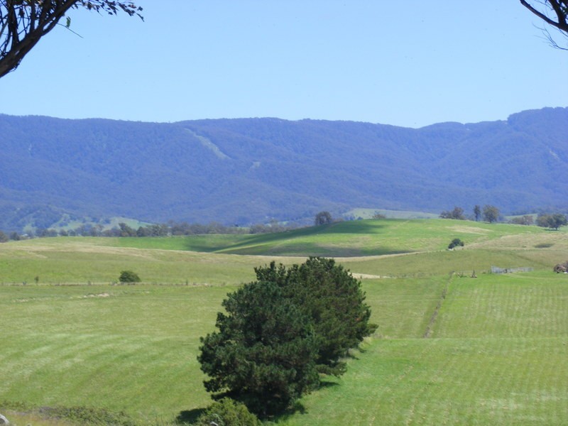 131 Loftus Street, Bemboka NSW 2550