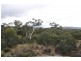 Lot 2 Beresford Road, Numeralla NSW 2630
