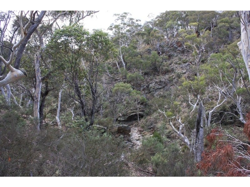Lot 2 Beresford Road, Numeralla NSW 2630
