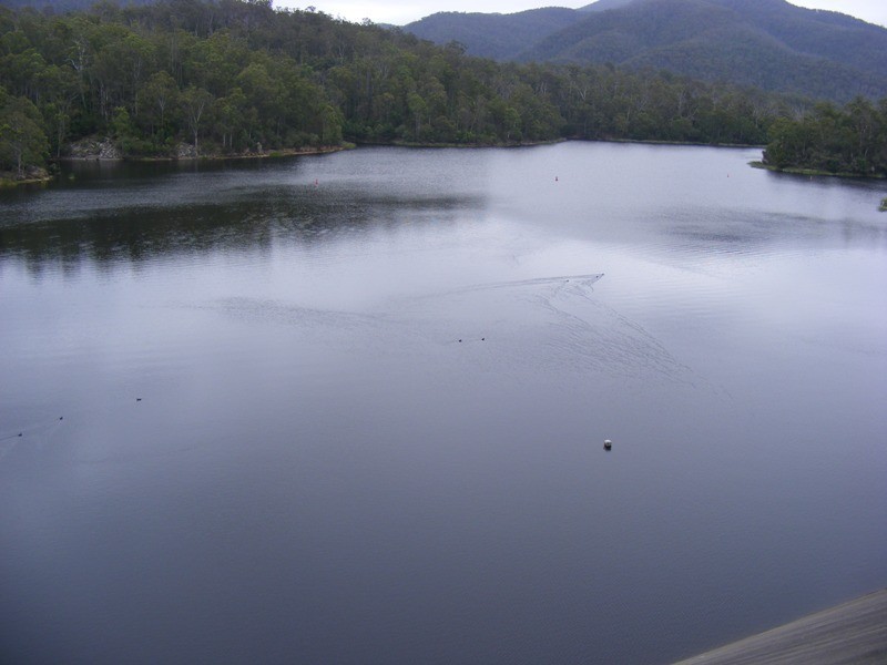 1160 Warrigal Range Rd Brogo, Brogo NSW 2550